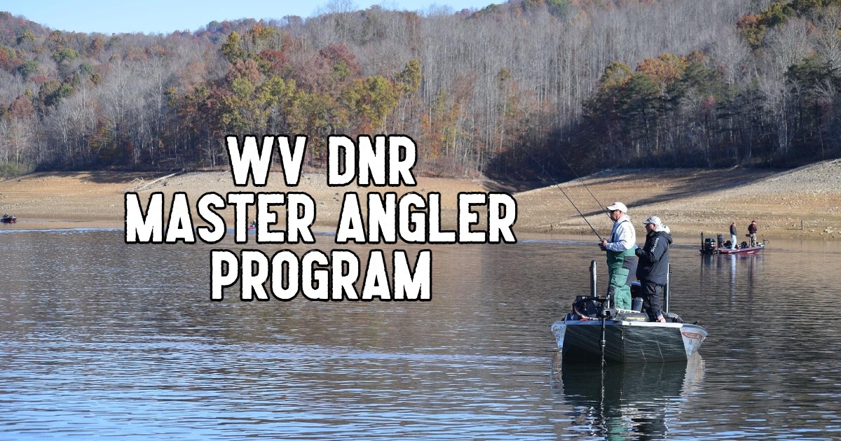 Read more about the article West Virginia DNR NEW Master Angler Program